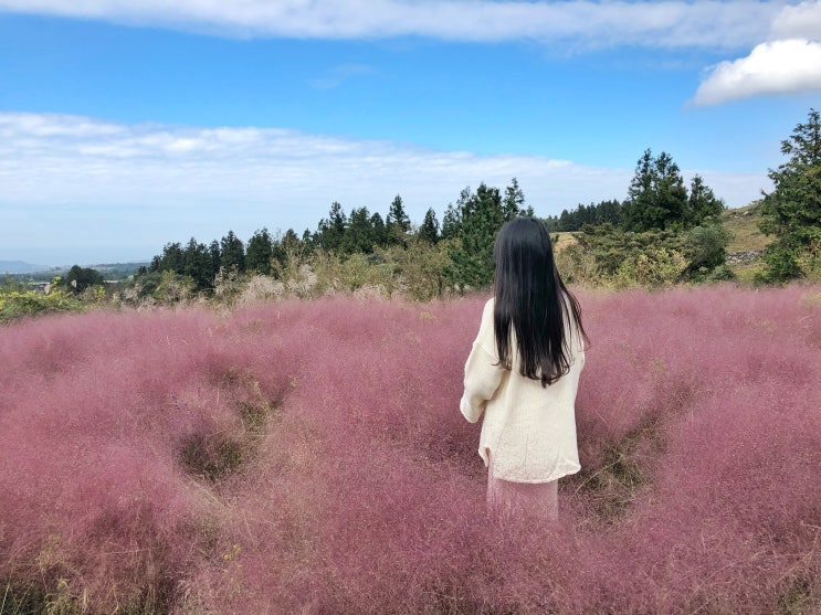  가을 제주 3박 4일 여행 코스 일정 카페투어