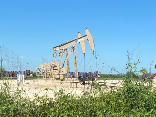 유가 하락, WTI 39.43달러…산유국 석유 생산 정상화
