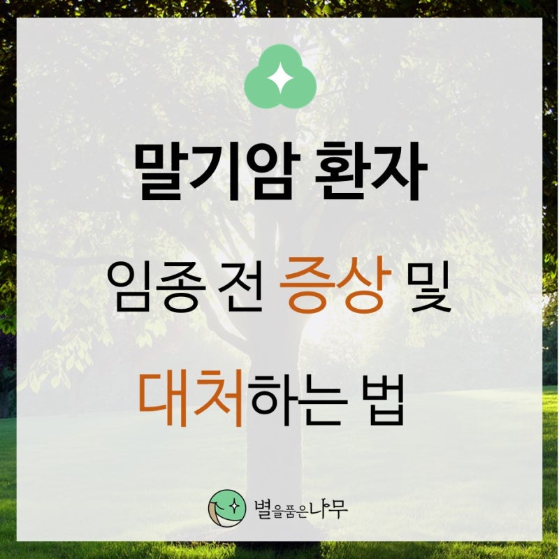 말기암 환자 임종 전 증상 및 대처하는 법