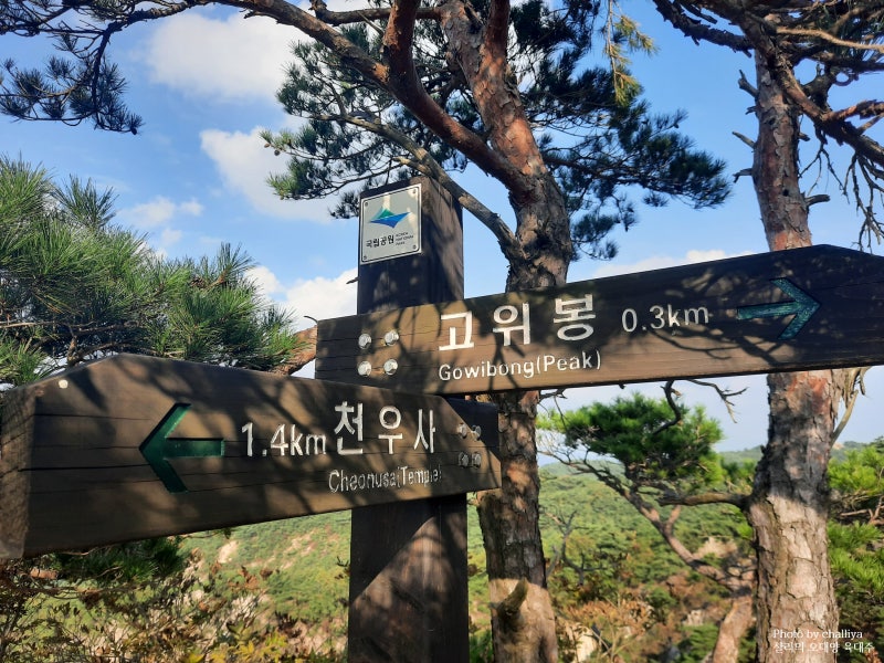 경주 남산 고위봉(고위산) 용장골~이무기능선 등산코스 : 네이버 블로그