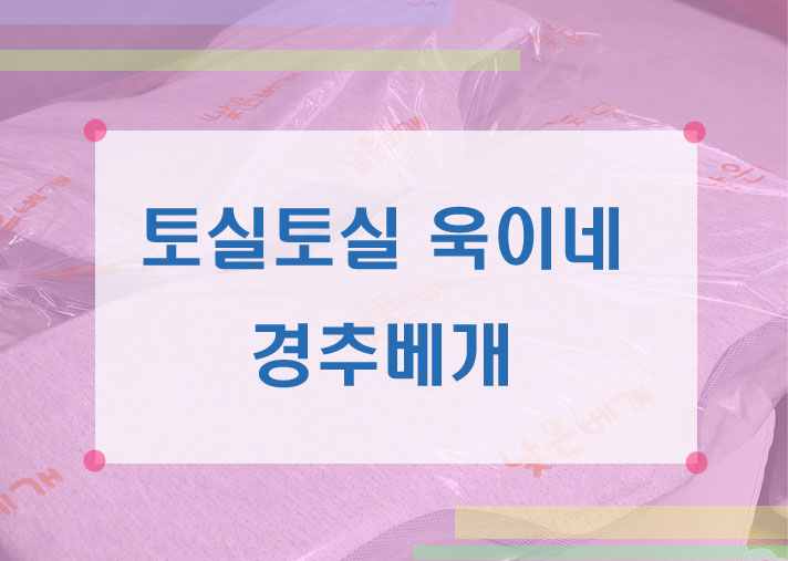  잠잘때도 바른 자세! 잠솔솔 베개