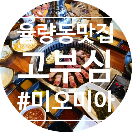  [청주맛집] 가성비 넘치는 고기집 율량동 고부심(고기자부심)