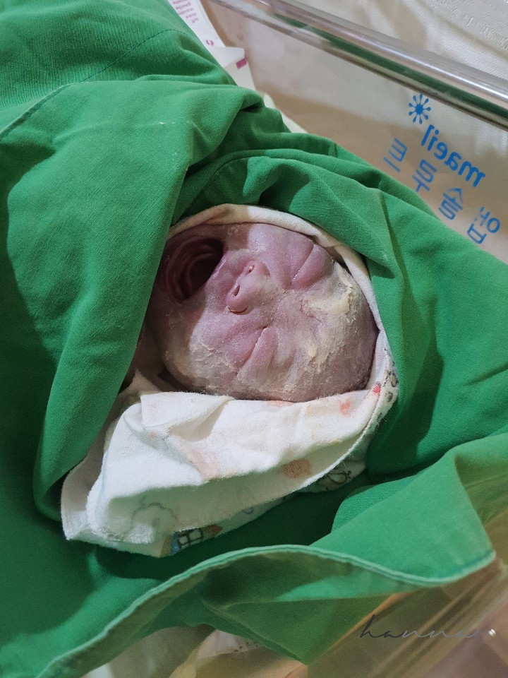  조리원 생활 적응기 과연 조리원 천국일까?!