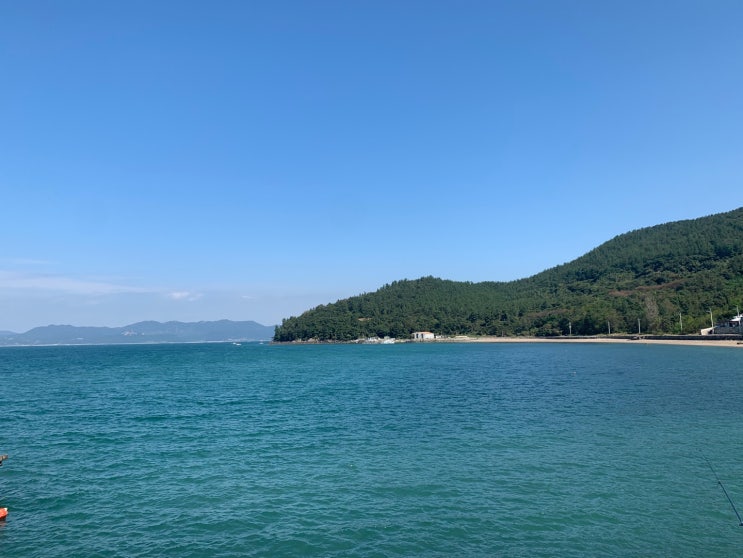 고흥 워킹 낚시 | 고흥만방조제 | 녹동항 | 대곡바다