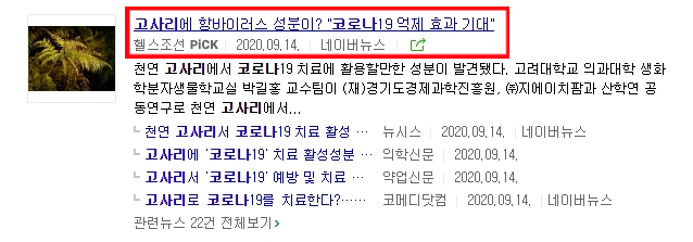  코로나 19 치료제 논란/신풍제약2229%_저널리즘J