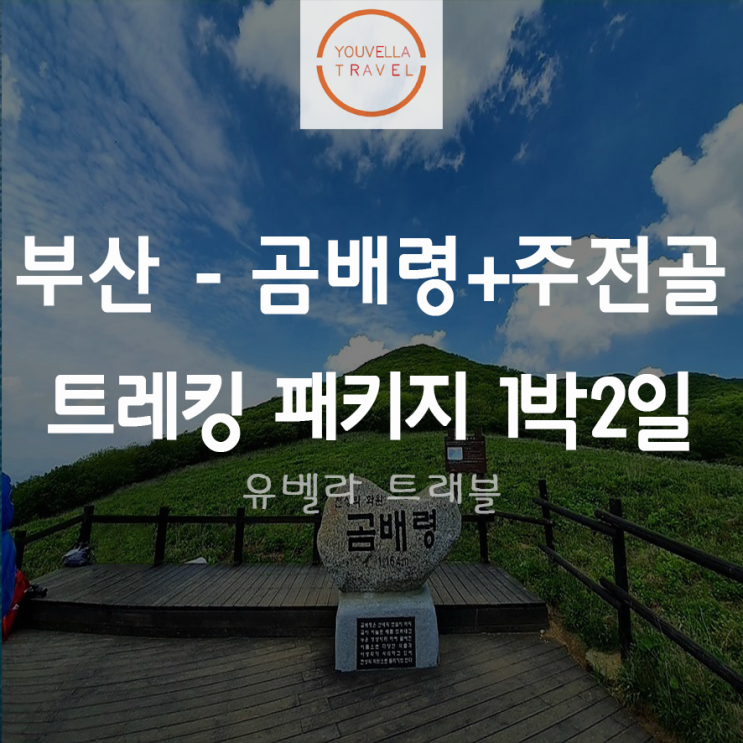 [부산출발] 10월16일 금요일 곰배령 트레킹 패키지 1박2일 선착순 마감진행중 티웨이 항공