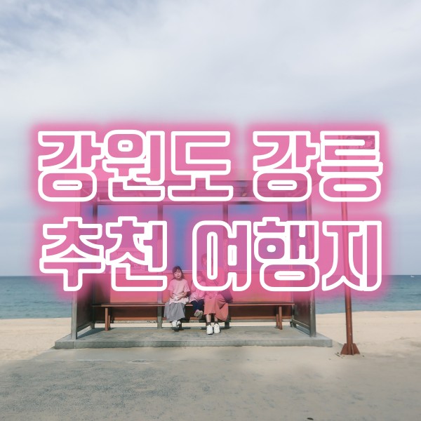  강원도 강릉 여행지 추천(향호해변, 영진해수욕장, 테라로사, 하슬라아트월드)