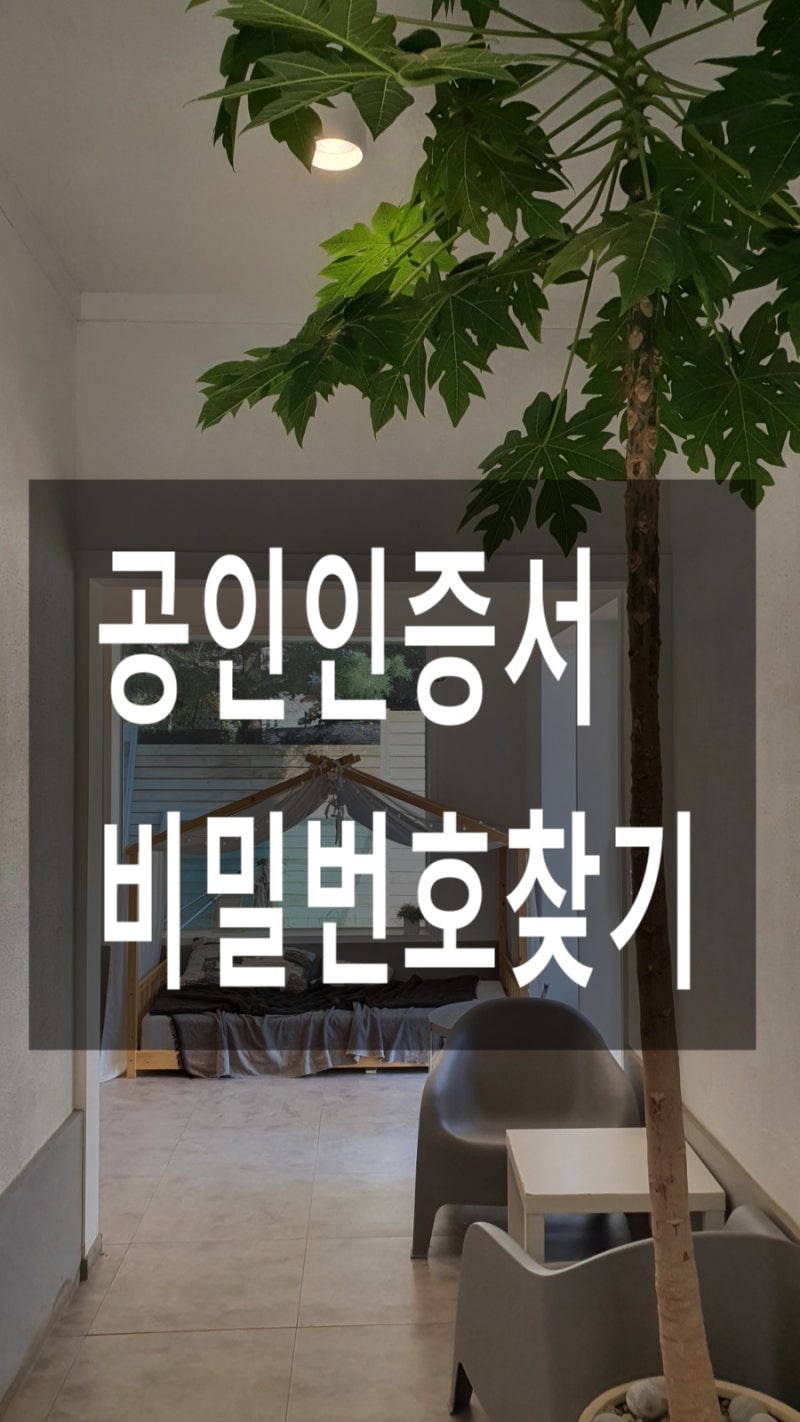 공인인증서 비밀번호 찾기 비번 오류 : 네이버 블로그
