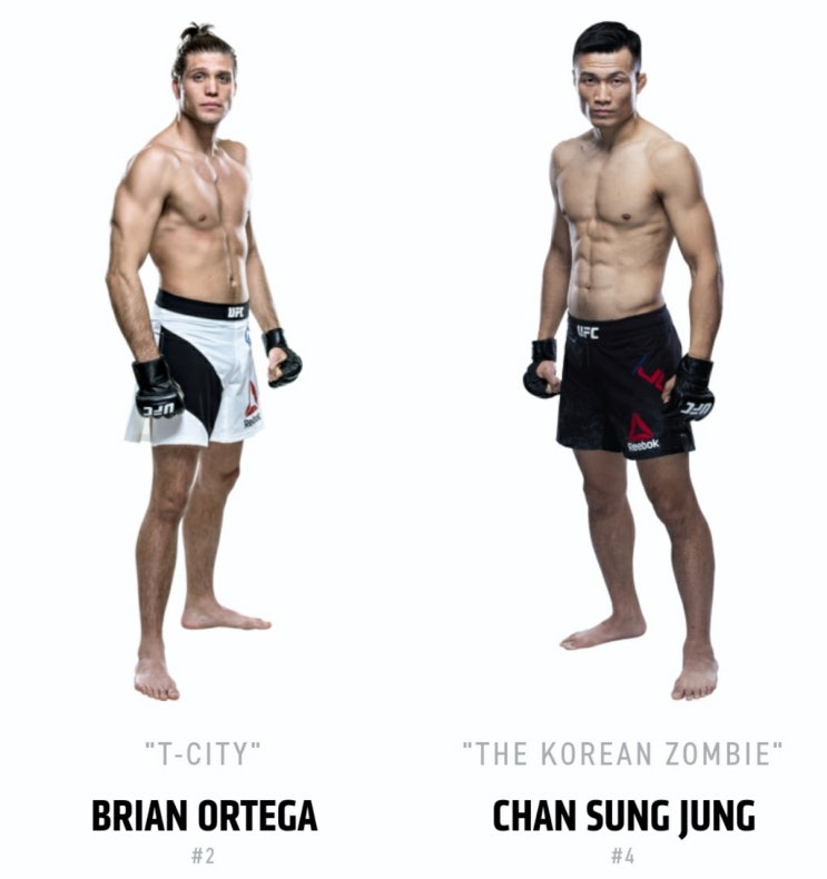  정찬성 vs 오르테가 격투기 전문가들의 예상 승자는?