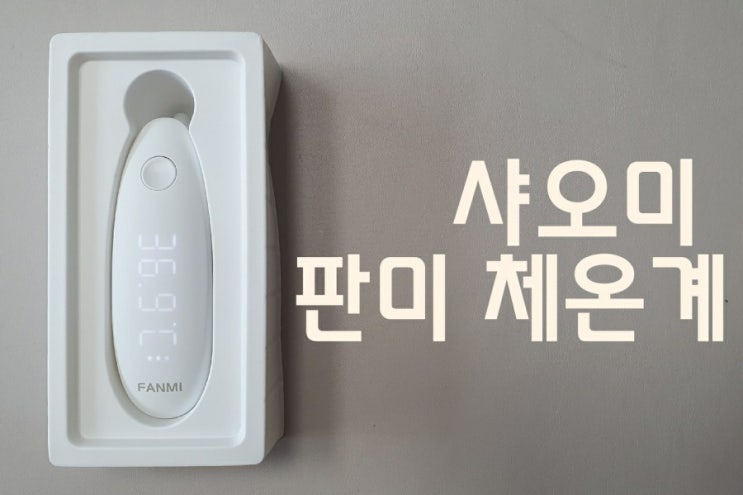  샤오미 판미 접촉식 체온계 브라운 대신하기 충분해요 (내돈내산)