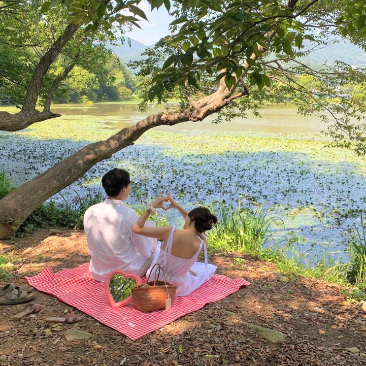 [밀양 가볼만한곳] 숨은 청정 여행지 밀양의 핫플레이스와 힐링하기 좋은 통영 펜션