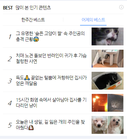 슬픈고양이짤 주인공 Inkky가 9월28일 생을 마감했어요. : 네이버 블로그
