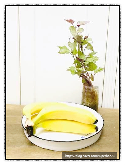  [생강꽃씨네 맛나는 향기 16일째]