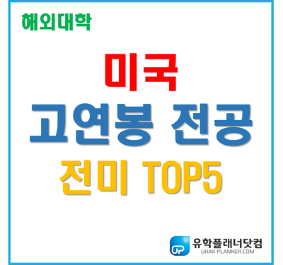 [미국대학교] 높은 연봉 추천 전공 TOP5