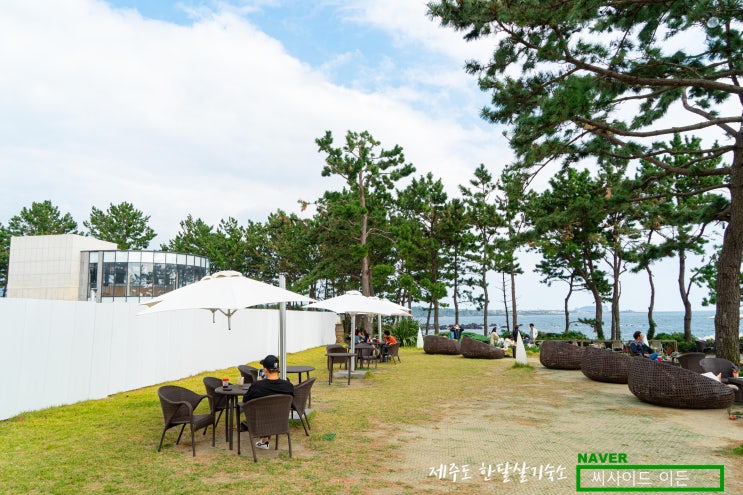  기대가 컸던 "바다다" [제주도 한달살기 숙소 씨사이드 이든]