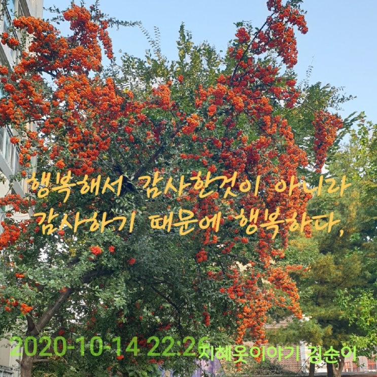 60일 낭독 2일째 60일 낭독 2일째