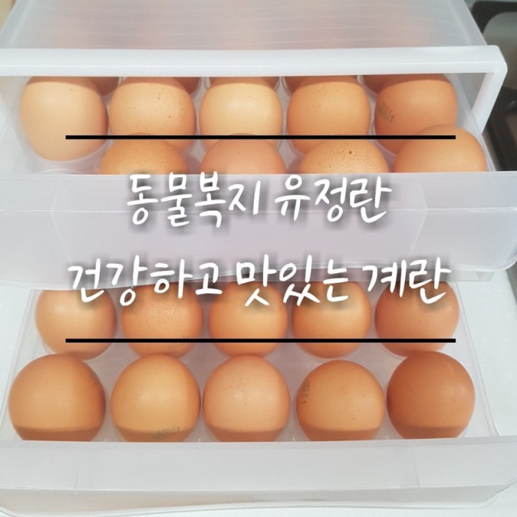  동물복지 유정란 구매 후기! 난각번호1 그리고 NON GMO사료