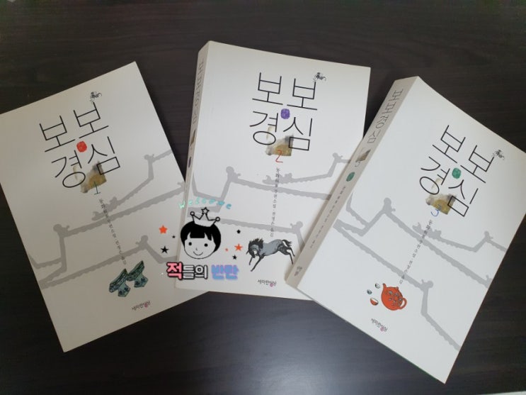 시공간을 초월한 소설, 보보경심