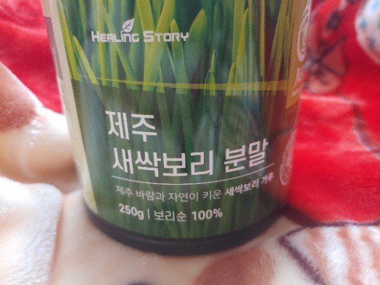 요즘이게 핫하다며? 내가 먹고 평가할게 (제주 새싹보리효능)