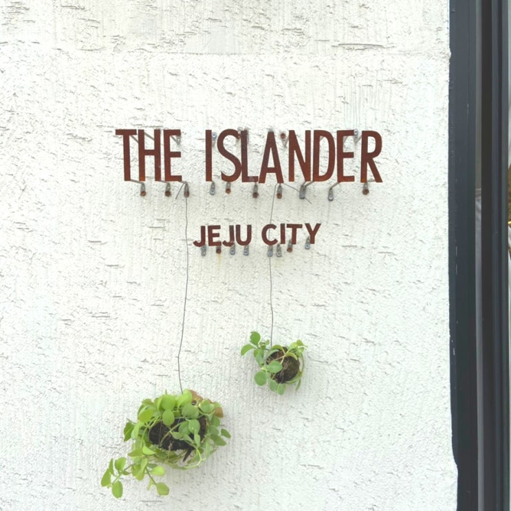  제주시 기념품샵 소품샵 더아일랜더 THE ISLANDER