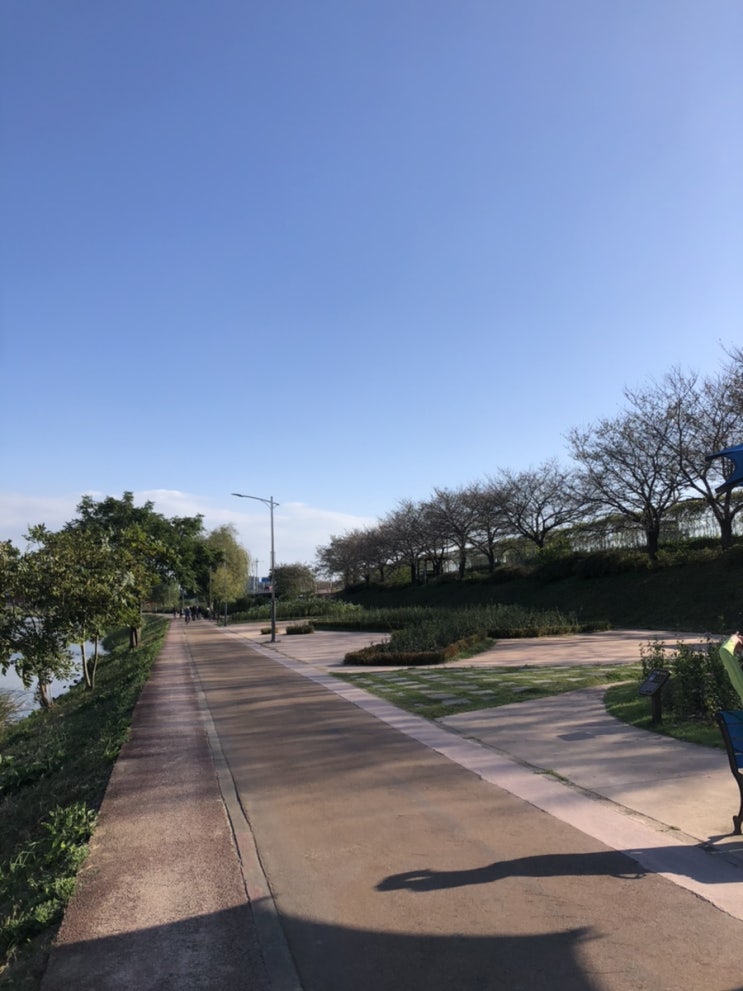  아름다운 순천 동천을 볼수있는 전망좋은곳  :: 순천 출렁다리