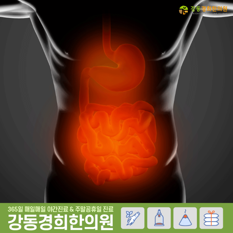 길동역/강동역 한의원에서 설사, 변비 치료는 장애독으로~! 8
