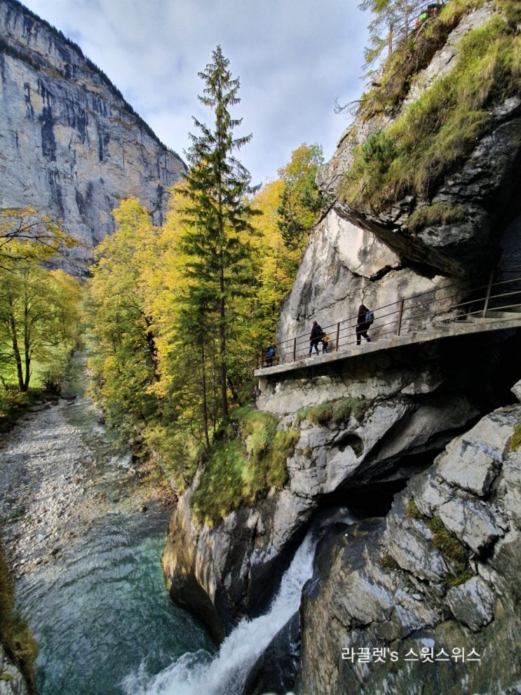 [스위스 가을 풍경] 라우터브루넨 트뤼멜바흐 폭포 (Trümmelbachfälle, Lauterbrunnen)