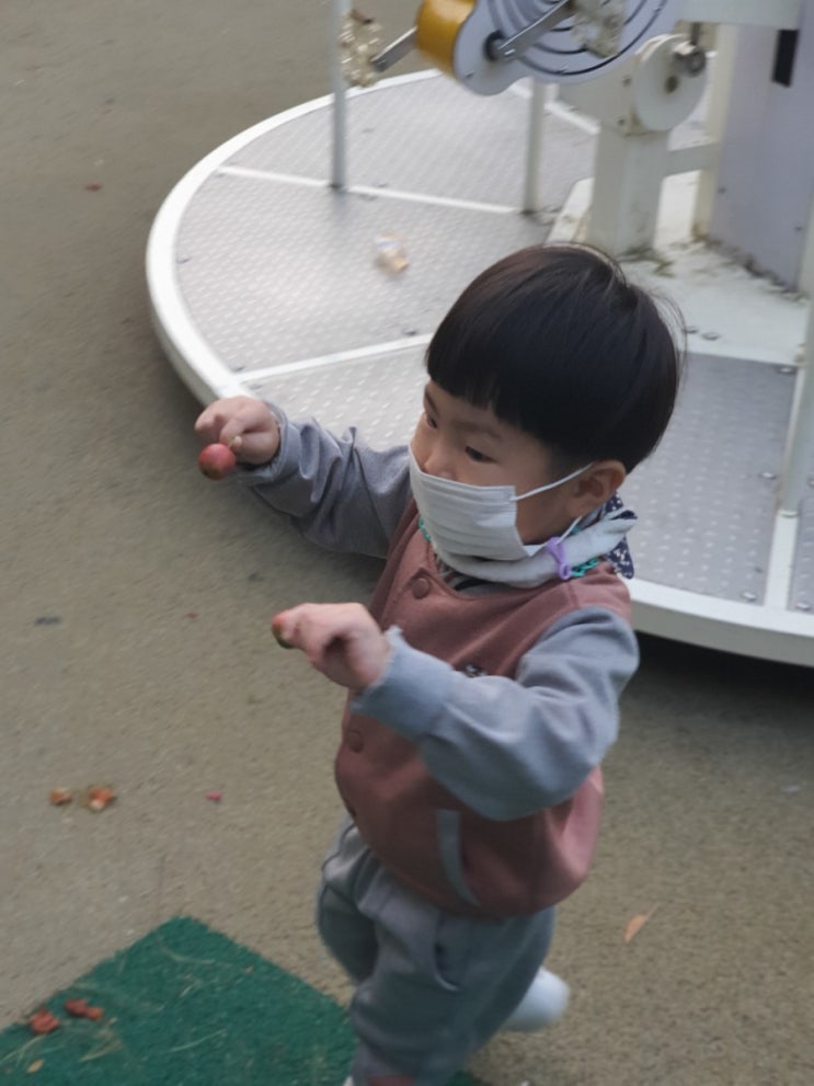  사과같은 네얼굴, 못먹는 사과를 주워와요