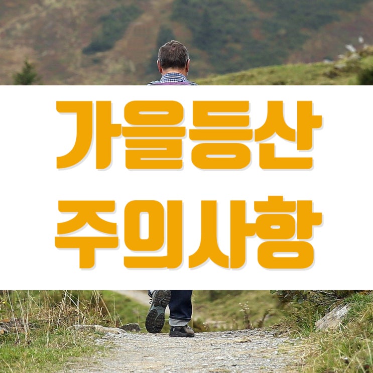  가을등산 주의사항 알아볼까요?