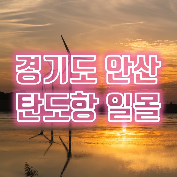  서해낙조 추천 국내여행지 안산 탄도항 일몰과 화성 전곡항 맛집
