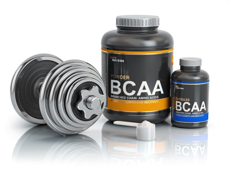  [오늘의 공부] :: 생활체육지도자 2급 보디빌딩 편:: BCAA? 카보 로딩? 카르니틴?