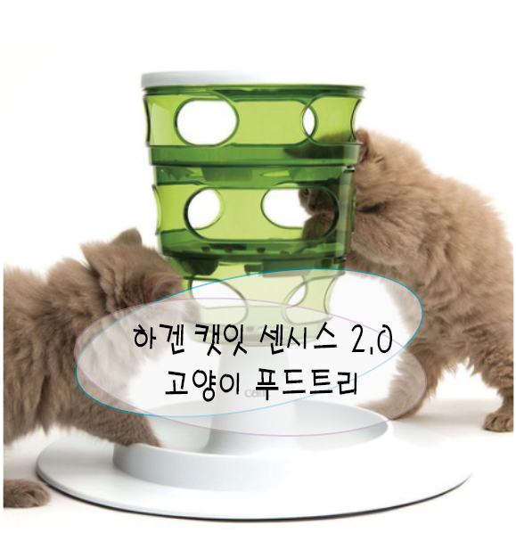 [고양이용품] 하겐 캣잇 센시스 2.0 New  캣푸드트리(손쓰는고양이 후추움짤)