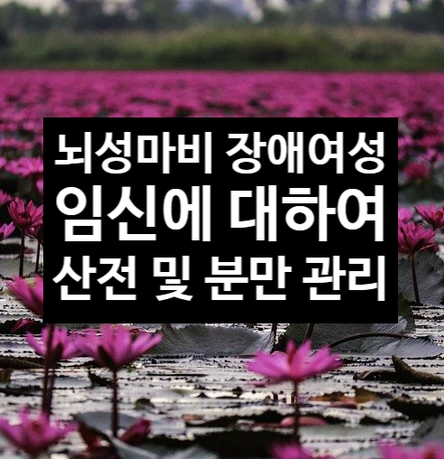  뇌성마비 임신 산전 및 분만 관리 (2)