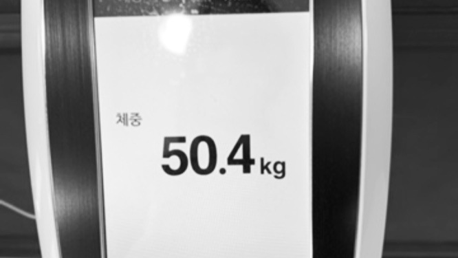  다이어트첼린지 3일 / 필라테스/라이노/세공/디자인 20201014
