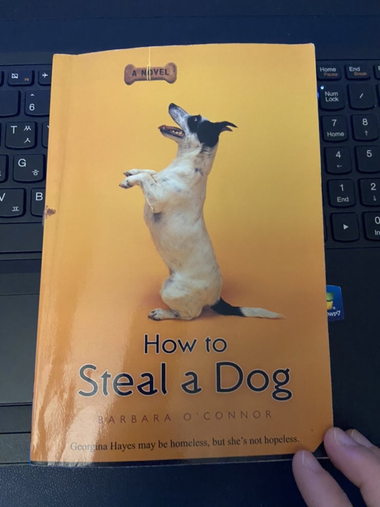 영어원서모임 추천하는 이유- How to steal dog