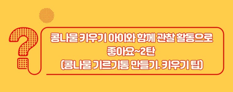 콩나물 키우기 아이와 함께 관찰 활동으로 좋아요~2탄(콩나물통 만들기, 키우기 팁)