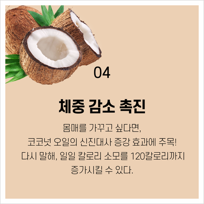 맑은화장품 코코넛오일 효능향 좋은 노워시 트리트먼트 바