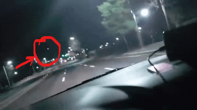  UFO 라고 밖에 설명할 수 없는 그 날