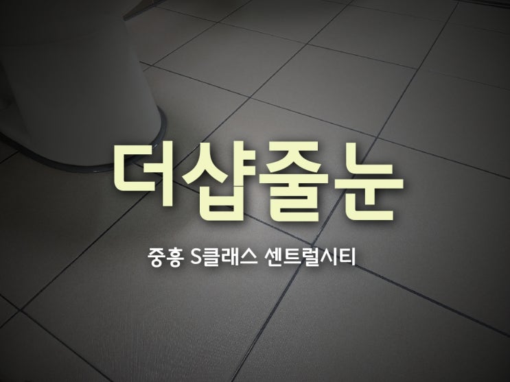  더샵줄눈 진주 중흥 센트럴시티 시공