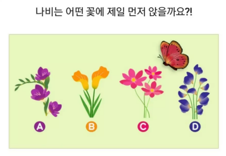  심리테스트 연애성향 알아보기 꽃과 나비로 알아보는 나의 연애성향