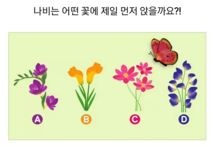 심리테스트 연애성향 알아보기 꽃과 나비로 알아보는 나의 연애성향