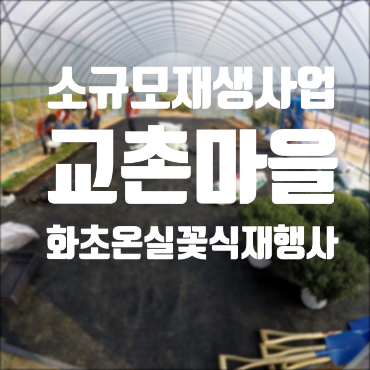  서천소규모재생사업 마을기획단7 - 시범활동(화초온실 꽃 식재 시범운영, 독거어르신 주거환경개선활동)