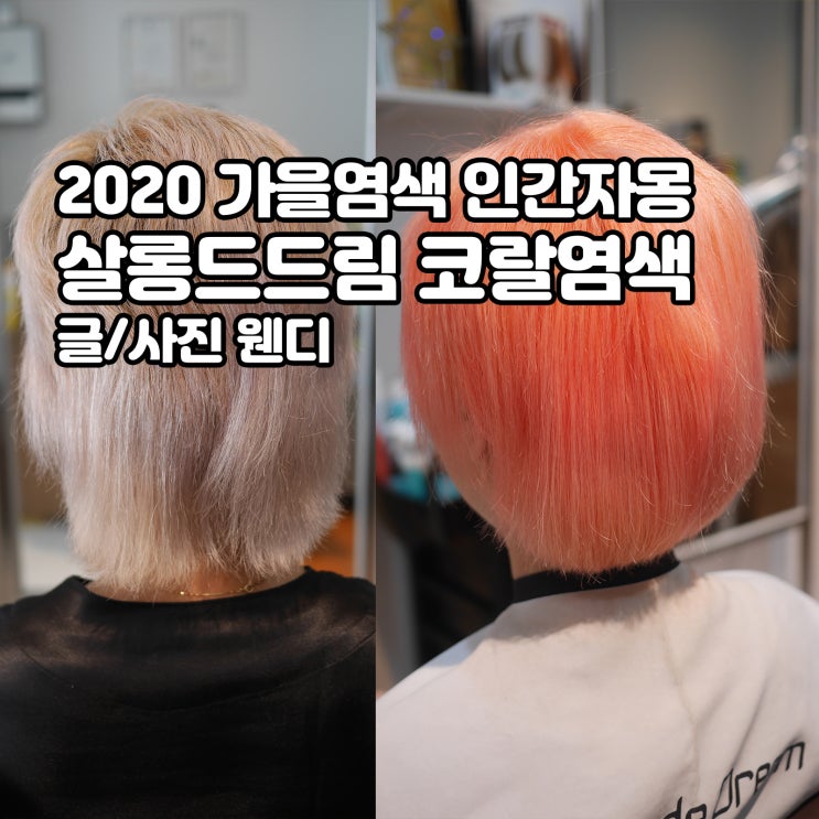 2020 가을염색 살롱드드림에서 인간자몽됐어요