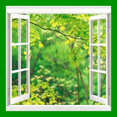  창문을 열었다(Opened the window) 