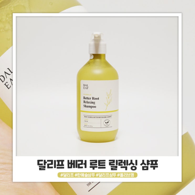 달리프 베러 루트 릴렉싱 샴푸 올리브영 샴푸 추천 해요 달리프 베러 루트 릴렉싱 샴푸 올리브영 샴푸 추천 해요