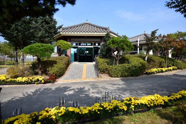 사회적 거리두기 1단계 완화로 군부대 장병 휴가 정상화 속초시 군장병 쉼터 이용 적극 추천 사회적 거리두기 1단계 완화로 군부대 장병 휴가 정상화 속초시 군장병 쉼터 이용 적극 추천