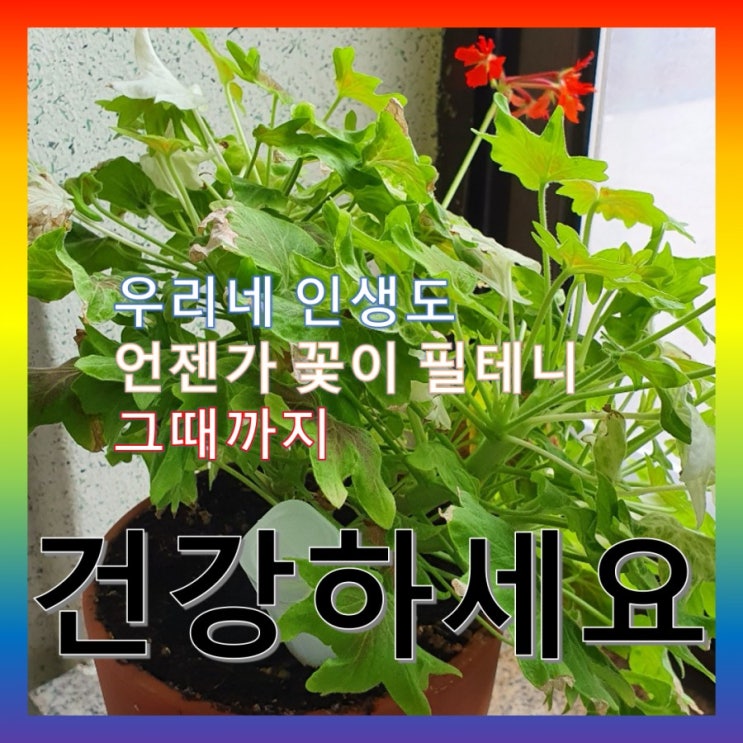  식물 사진에서 느껴지는 고모부의 존재감