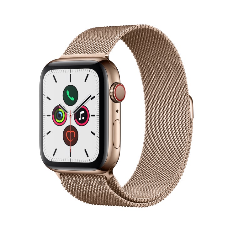  Apple 애플워치5 GPS + 셀룰러 44mm 밀레니즈 루프 + 스테인리스스틸 케이스, 골드(MWWJ2KH/A), 골드(루프)