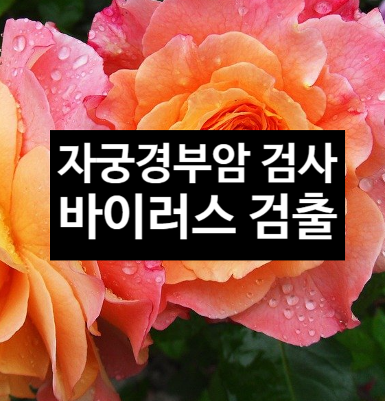  자궁경부암 검사 후 바이러스 검출