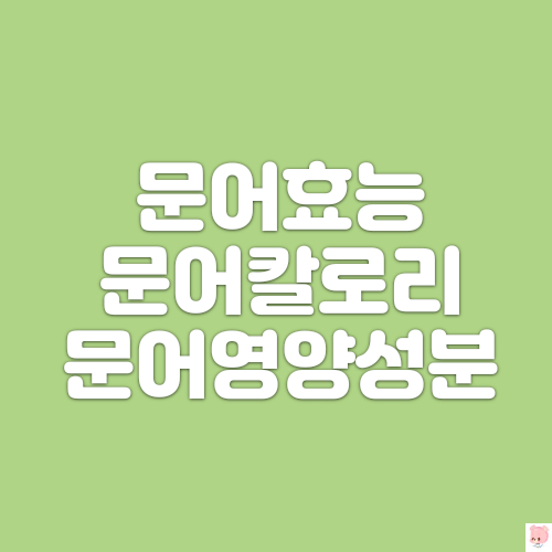  문어효능-문어칼로리, 문어영양성분에 대해서 알아보자
